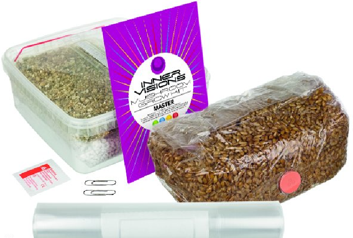 Mushroom grow kit 'Master'  - 2