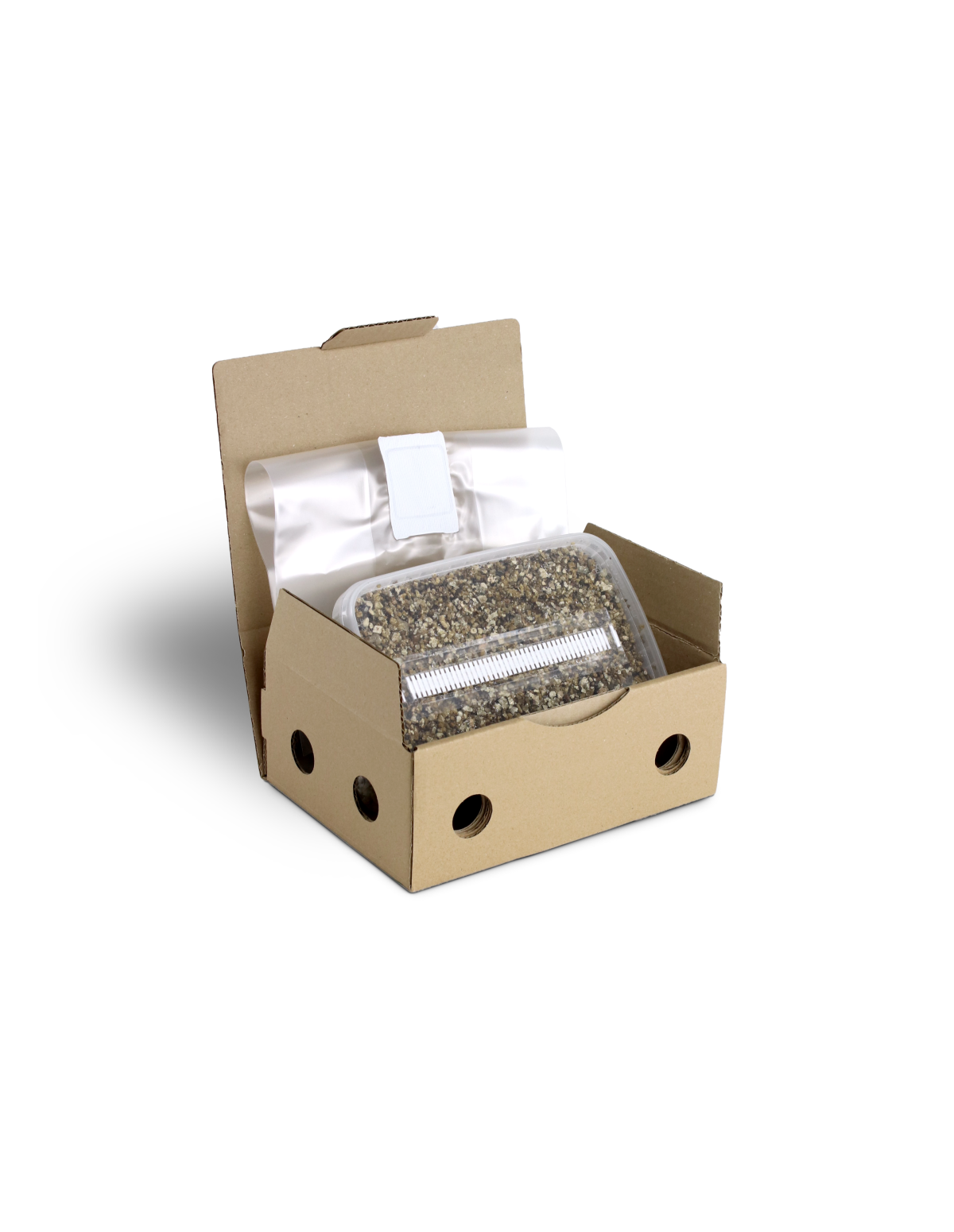 Mondo Growkit - Cambodian