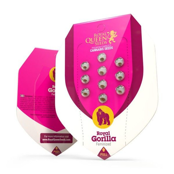 Royal Gorilla - Royal Queen Seeds  - 2 Royal Gorilla - Royal Queen Seeds  - 2