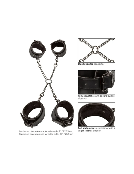 CALEXOTICS - EUPHORIA HOG TIE