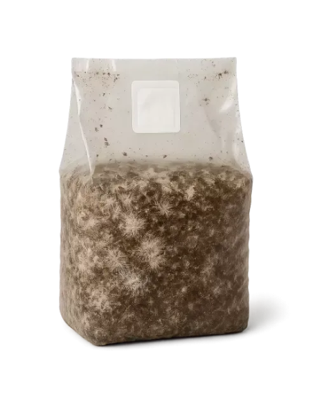 Myco Grow Bag by Mycotek "Jedi Mind Fuck" - Size M