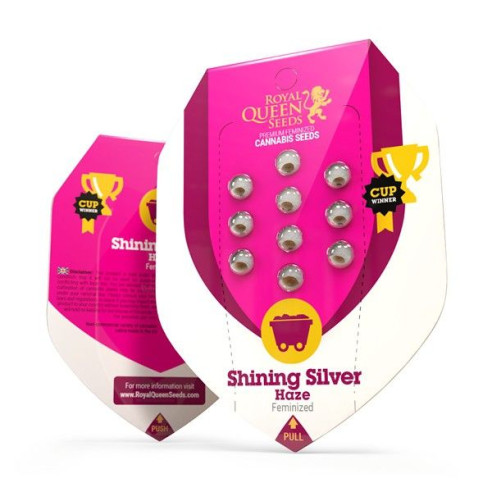 Shining Silver Haze - Royal Queen Seeds  - 2