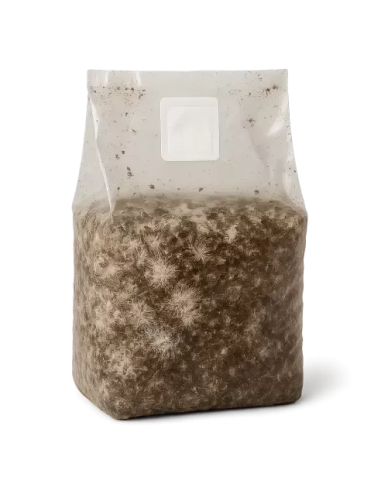 Myco Grow Bag by Mycotek "Cascadian Teacher" - Size M