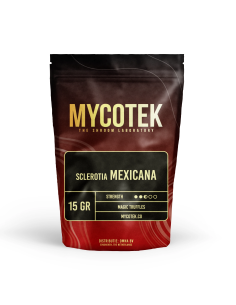 Magic Truffles - Psilocybe MEXICANA - Mycotek