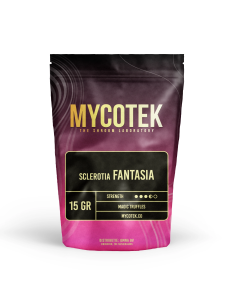Magic Truffles - Psilocybe FANTASIA - Mycotek