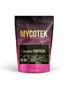 Magic Truffles - Psilocybe FANTASIA - Mycotek 2