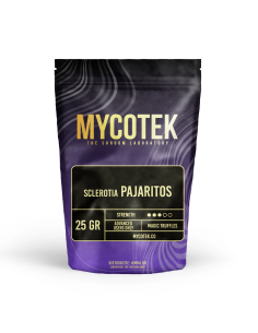 Magic Truffles - Psilocybe PAJARITOS - Mycotek 2