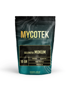 Magic Truffles - Psilocybe MOKUM - Mycotek