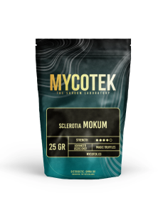 Magic Truffles - Psilocybe MOKUM - Mycotek 2