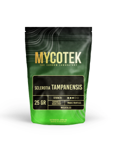 Magic Truffles - Psilocybe TAMPANENSIS - Mycotek