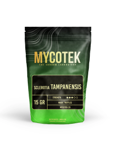 Magic Truffles - Psilocybe TAMPANENSIS - Mycotek 2
