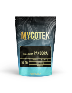 Magic Truffles - Psilocybe PANDORA - Mycotek