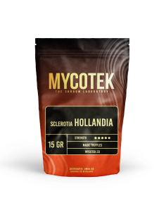 Magic Truffles - Psilocybe HOLLANDIA - Mycotek