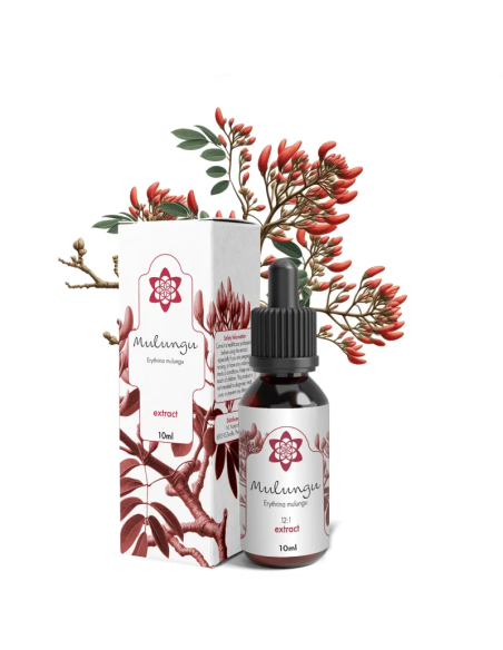 Mulungu Erythrina mulungu Exctract
