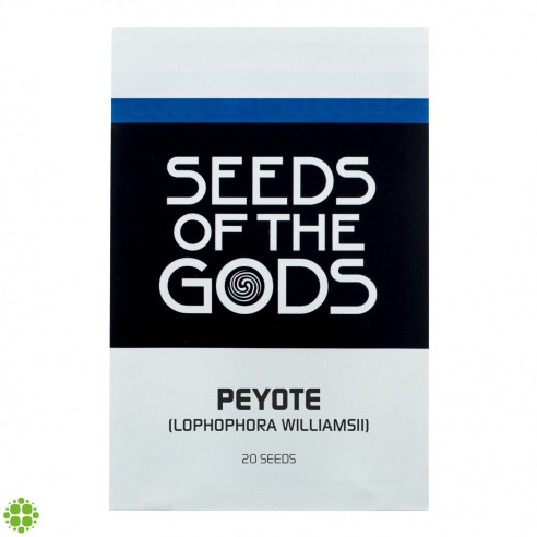 Peyote (Lophophora williamsii) seeds
