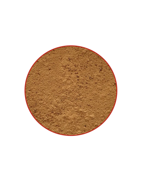 Cola Nut - 60 capsules