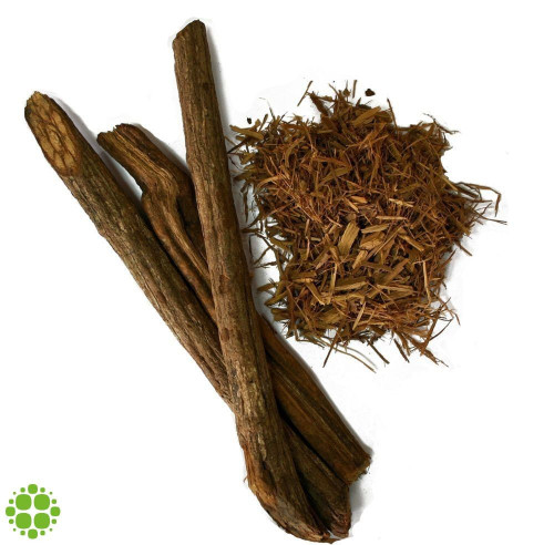 Caapi (Banisteriopsis caapi) Trueno