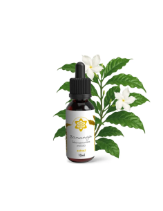 Smartzaden en kruiden