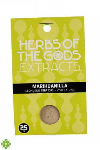 Marihuanilla (Leonurus sibiricus) extract 25X