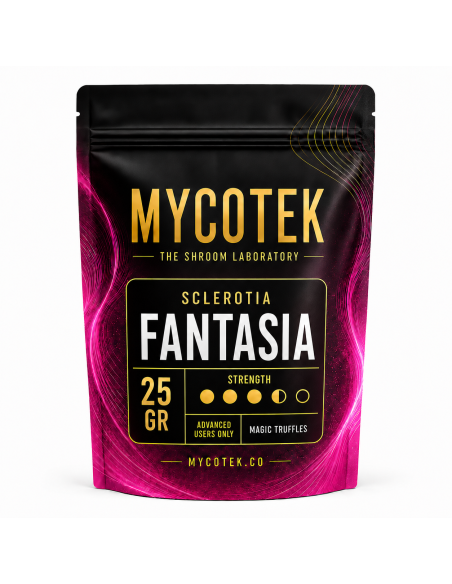 Magic Truffles - Psilocybe FANTASIA - Mycotek