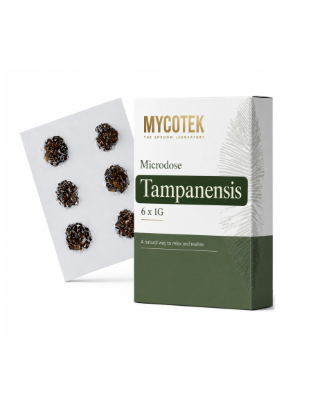 Microdose Mycotek  Tampanensis- 6 x 1G