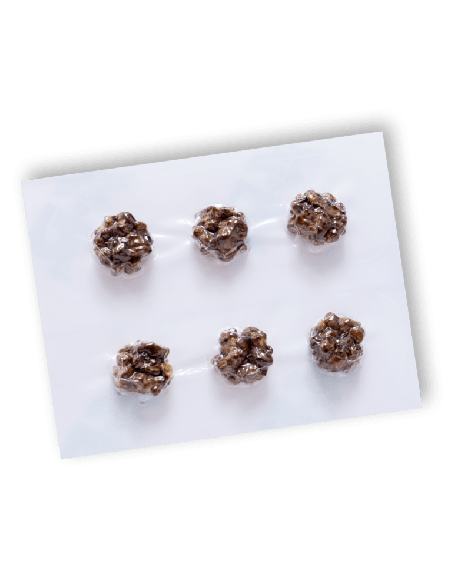 Microdose Mycotek  Tampanensis- 6 x 1G