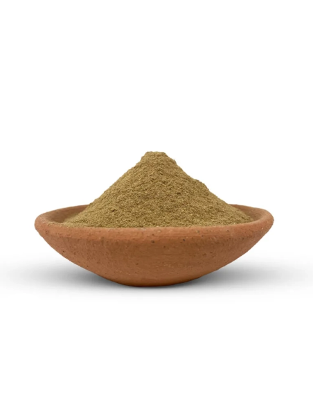 Kanna (Sceletium Tortuosum) – Finely Powdered Herb Thailand