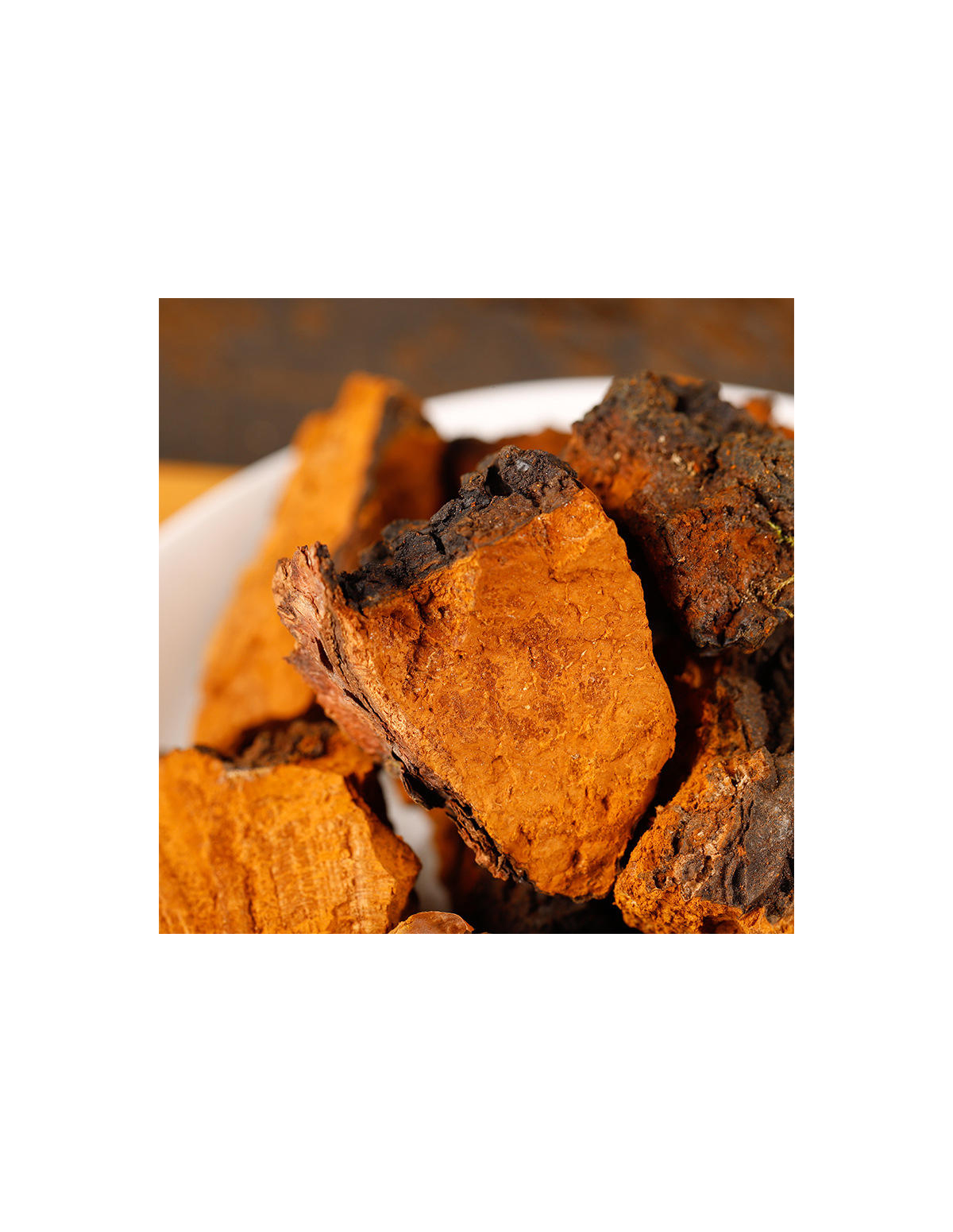 Chaga (Inonotus Obliquus) – Whole, Wild Harvested from Finland