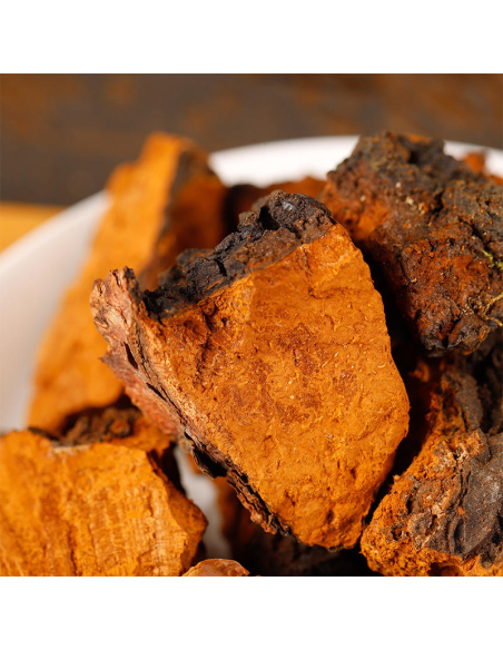 Chaga (Inonotus Obliquus) – Whole, Wild Harvested from Finland