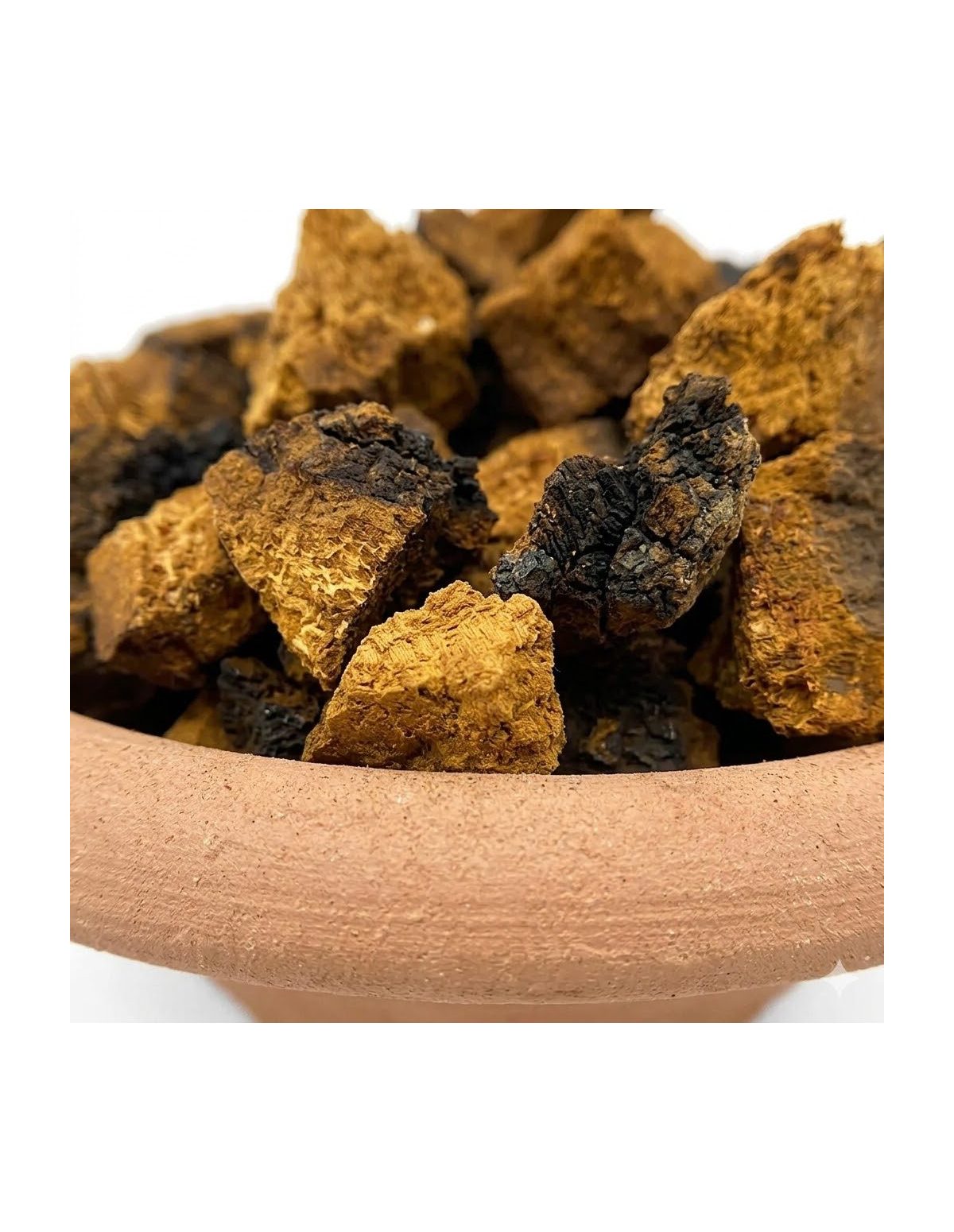 Chaga (Inonotus Obliquus) – Whole, Wild Harvested from Finland