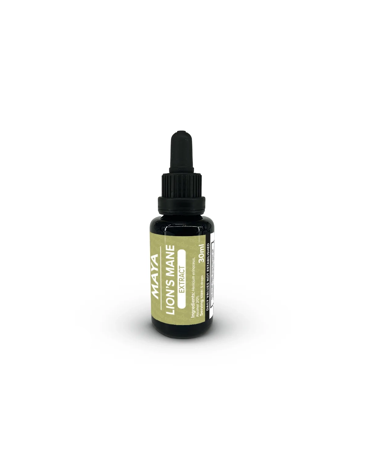 Lion’s Mane Extract (Hericium erinaceus) – 30ml