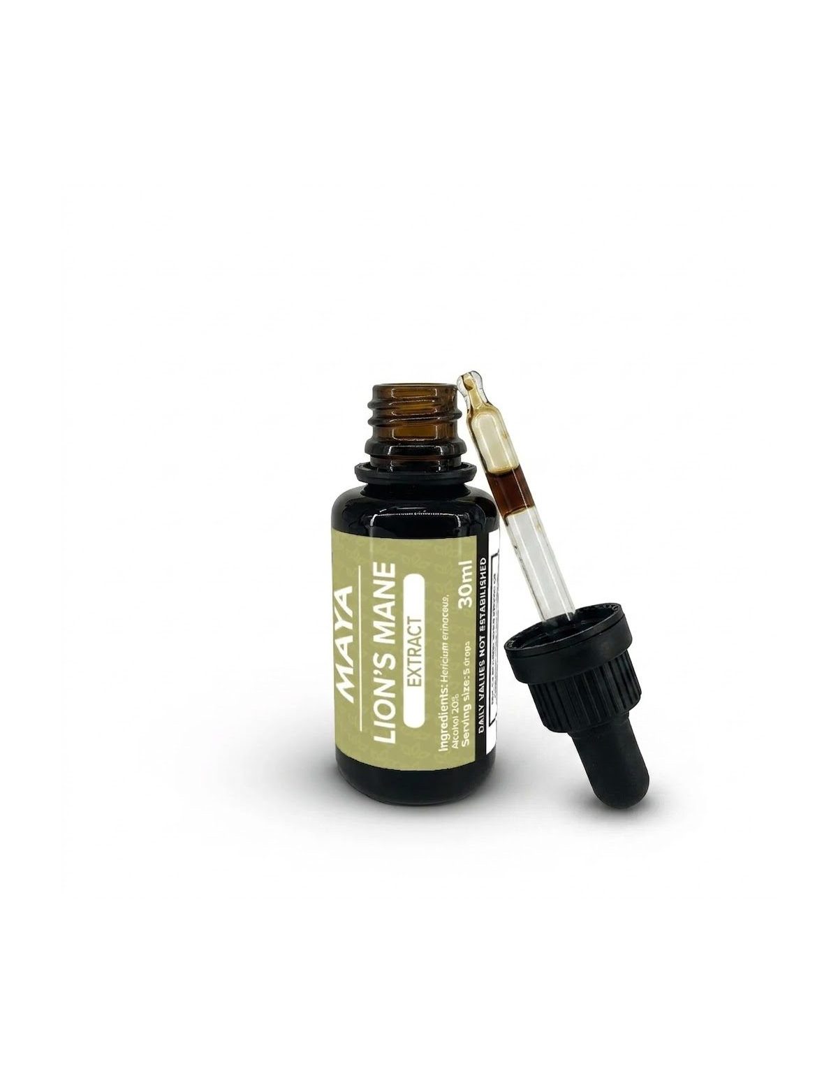 Lion’s Mane Extract (Hericium erinaceus) – 30ml