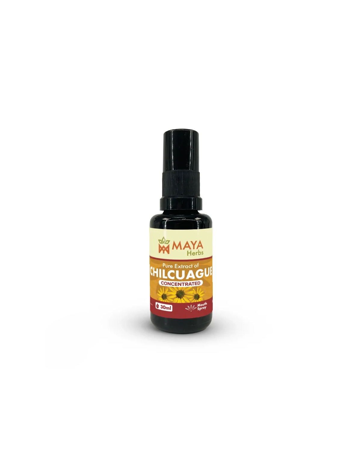 Extrait de Chilcuague (Heliopsis longipes) – Concentré – Spray buccal du Mexique, 30ml