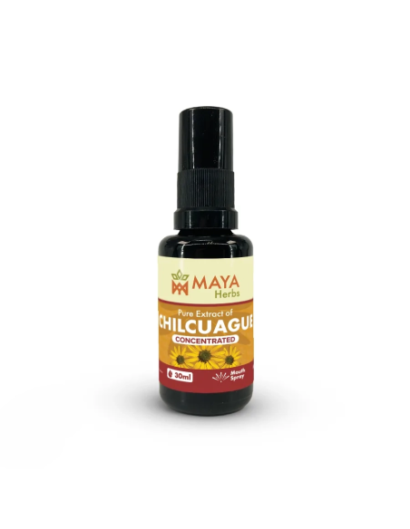 Extrait de Chilcuague (Heliopsis longipes) – Concentré – Spray buccal du Mexique, 30ml