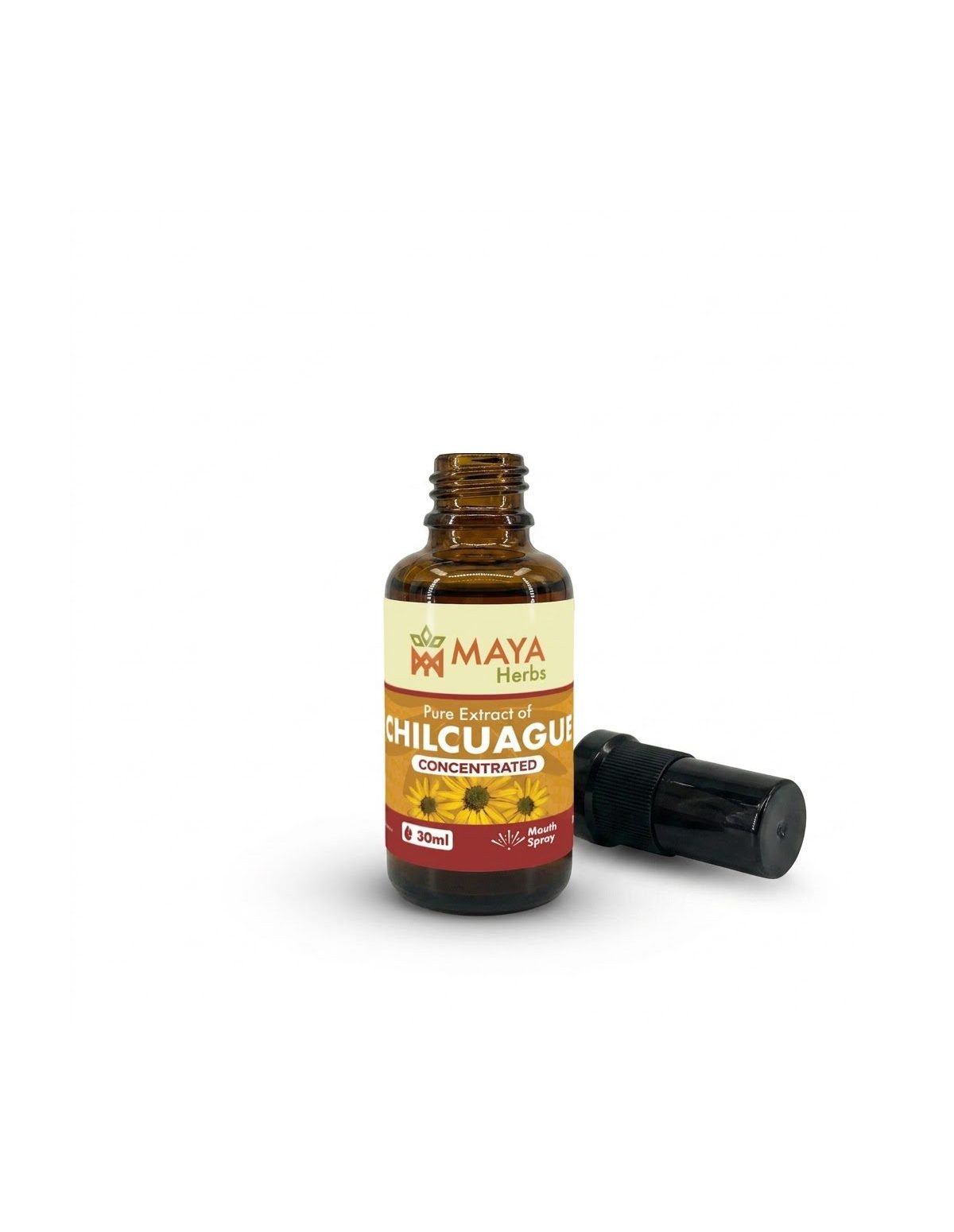 Extrait de Chilcuague (Heliopsis longipes) – Concentré – Spray buccal du Mexique, 30ml