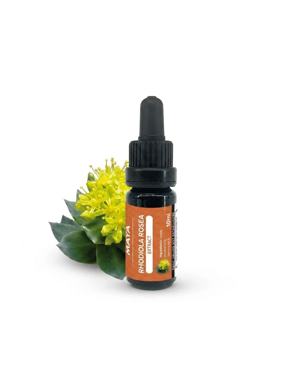 Rhodiola Rosea Extract – 10ml
