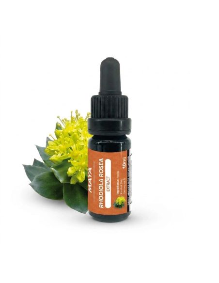 Rhodiola Rosea Extract – 10ml