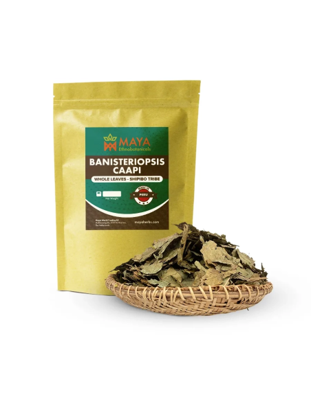 Whole Caapi Leaves (Banisteriopsis Caapi) – Cielo Leaves, Shipibo Tribe from Peru