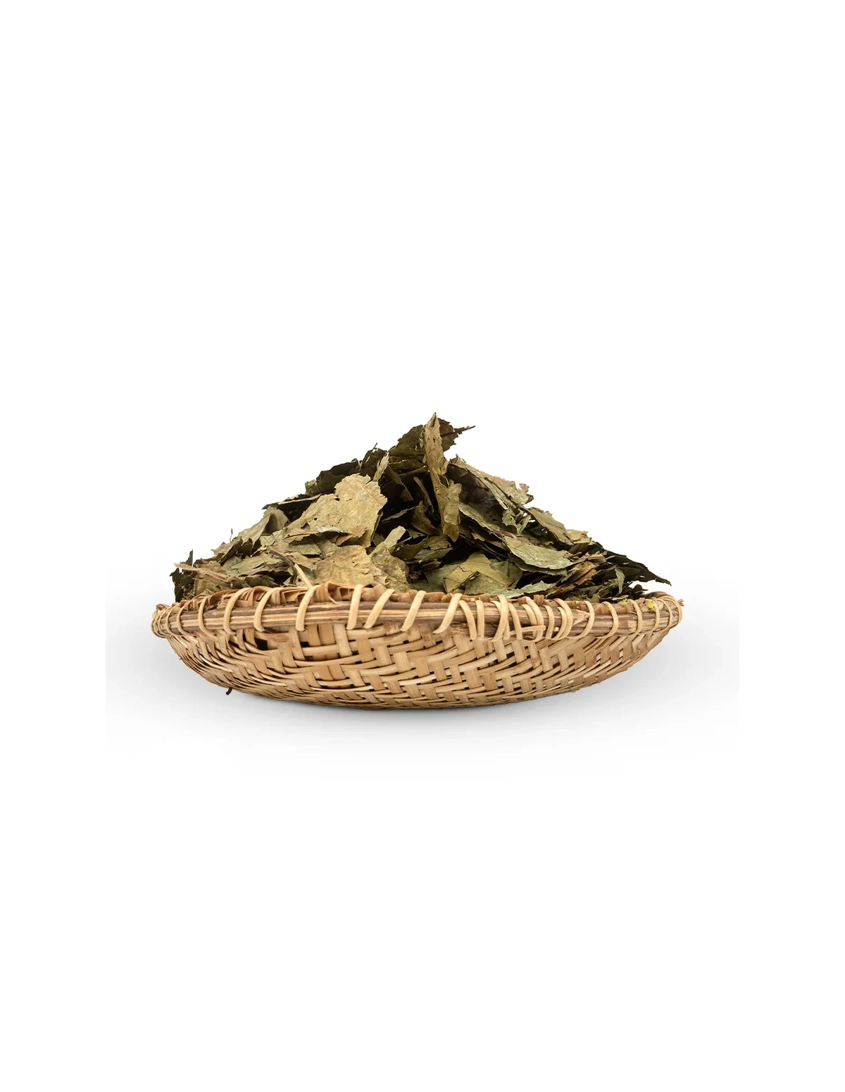 Whole Caapi Leaves (Banisteriopsis Caapi) – Cielo Leaves, Shipibo Tribe from Peru