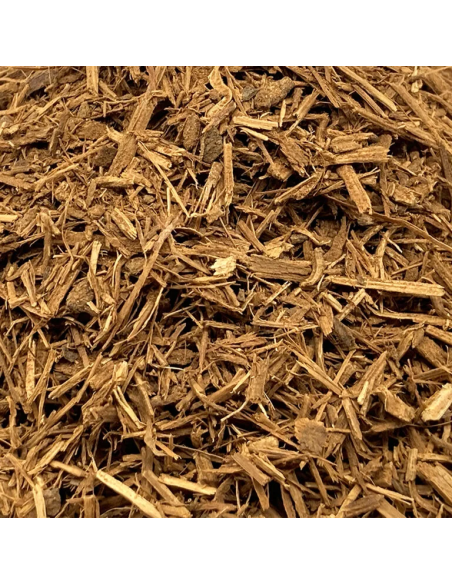 Cielo Vine (Banisteriopsis Caapi) – Shipibo Tribe from Peru