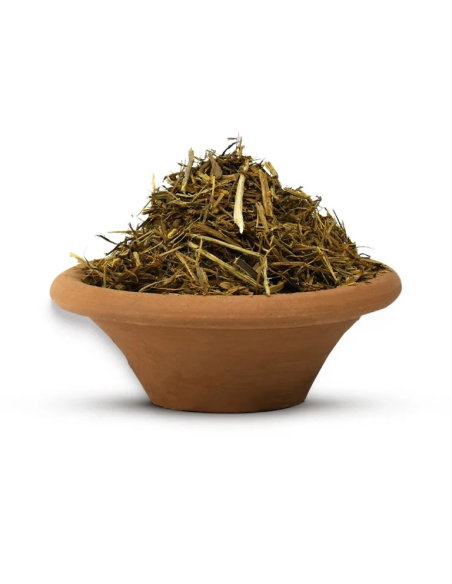 Yellow Ayahuasca (Banisteriopsis Caapi) – Shredded Vine From Peru