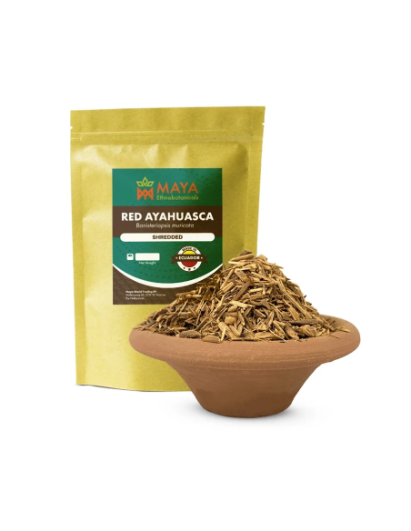 Ecuadorian Red Ayahuasca (Banisteriopsis muricata) – Shredded Vine from Ecuador
