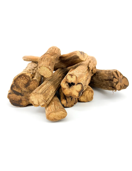 Yellow Ayahuasca (Banisteriopsis Caapi) – Whole Vine From Peru
