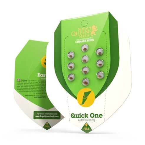 Quick One - Royal Queen Seeds  - 2