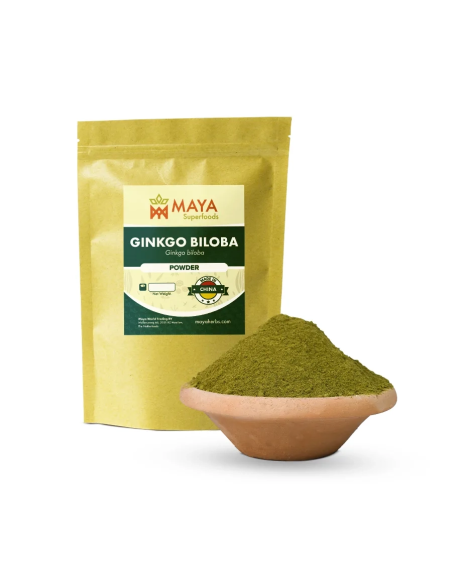 Ginkgo Biloba (Ginkgoaceae) Powder – 100 gr