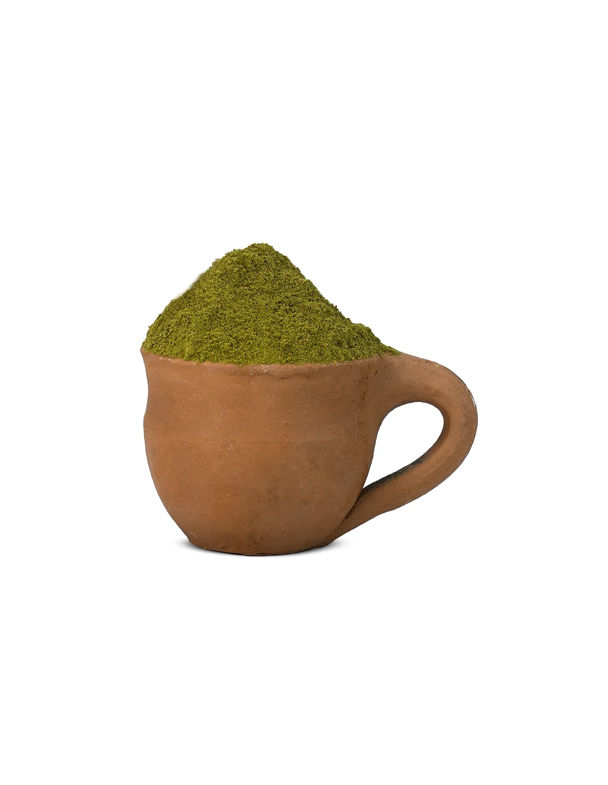 Ginkgo Biloba (Ginkgoaceae) Powder – 100 gr