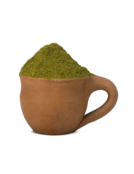 Ginkgo Biloba (Ginkgoaceae) Powder – 100 gr