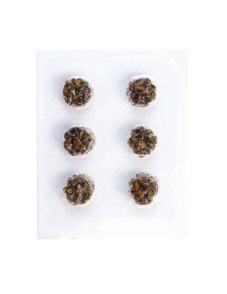FREE GIFT : 6x Microdose Truffle