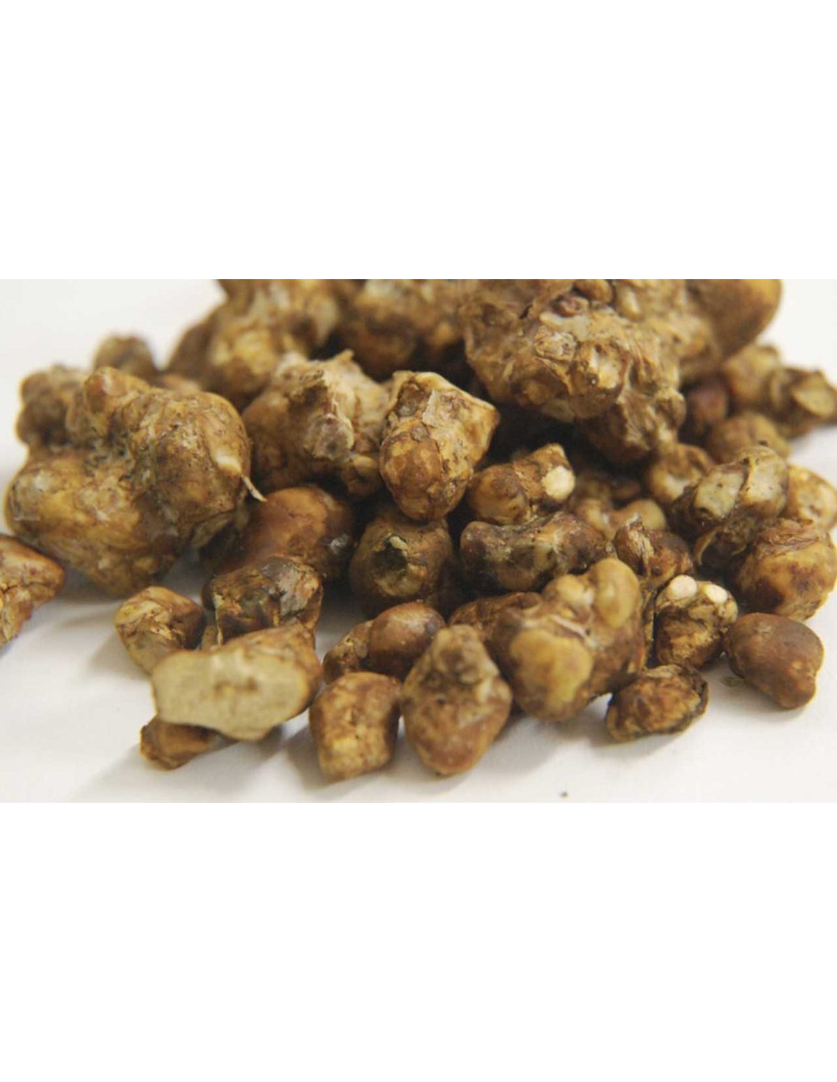 FREE GIFT : Truffles 15G