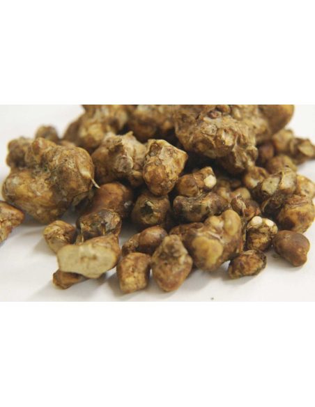 FREE GIFT : Truffles 15G